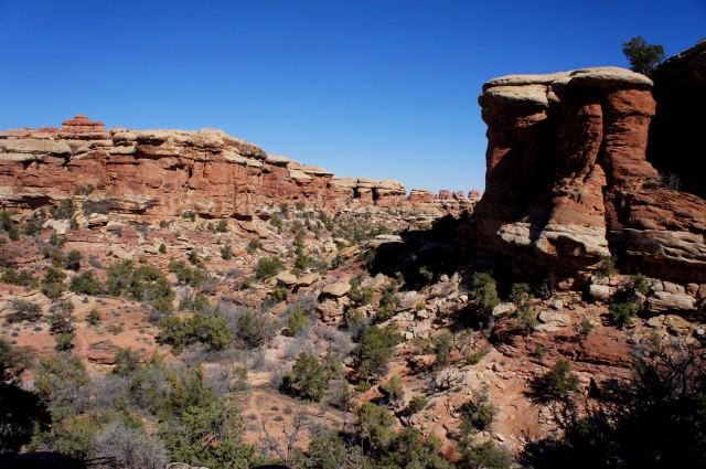 View up Elephant Canyon, on the Chesler Park approach route