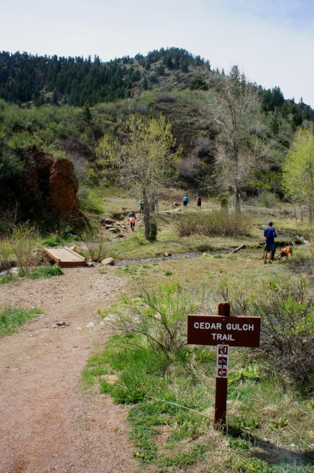 Cedar Gulch Trail at the trailhead, Mount Galbraith Park